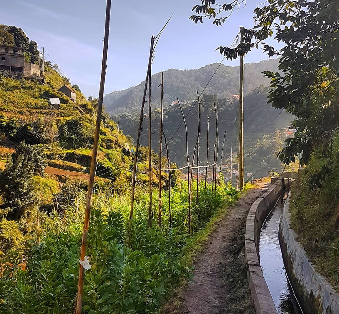 Levada dos Maroços