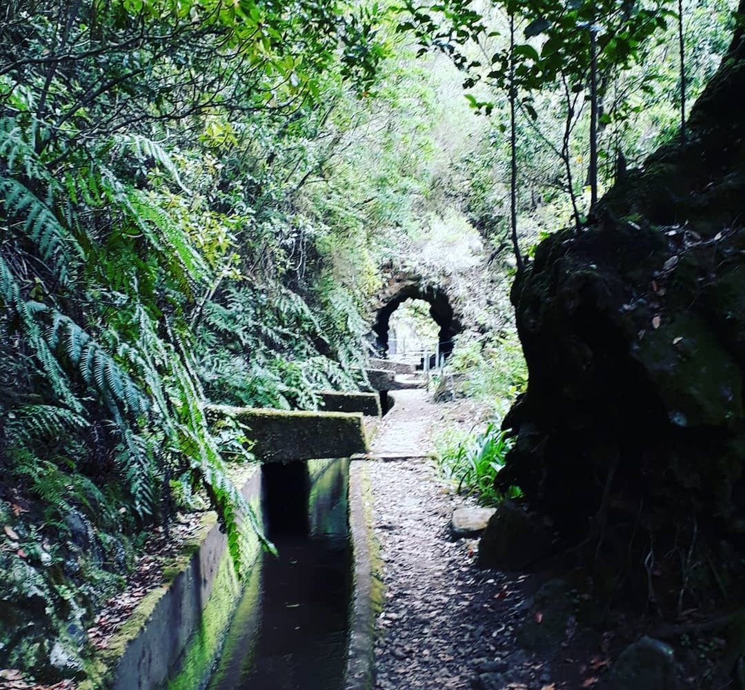 Levada do Norte