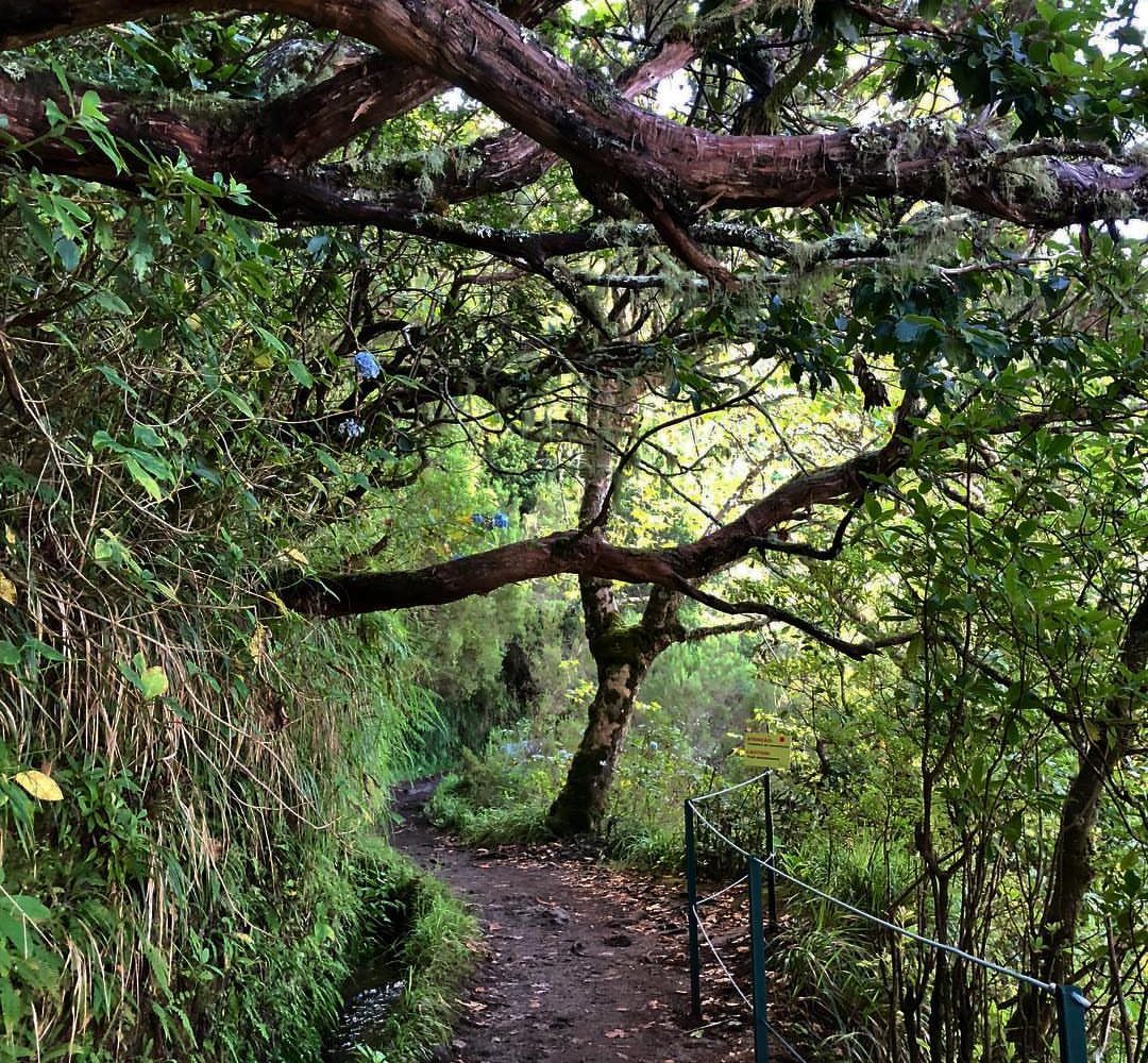 Levada Queimadas