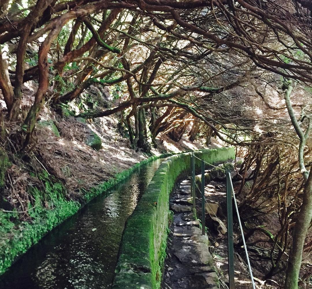Levada Rabaçal